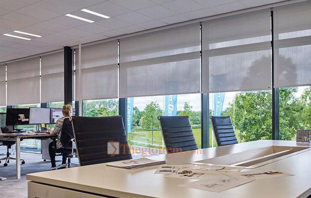 rem cuon van phong 2